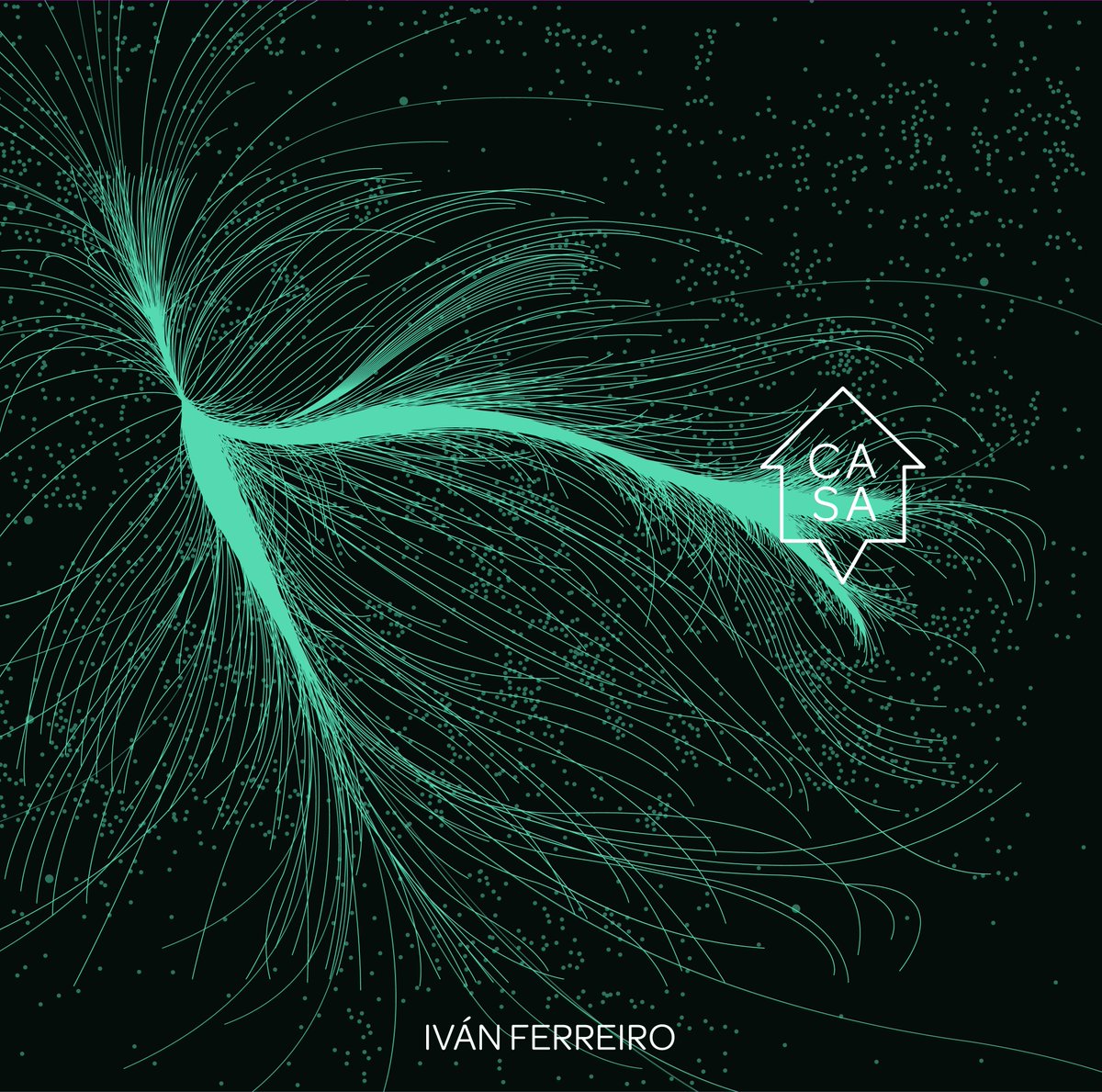 Iván Ferreiro 2